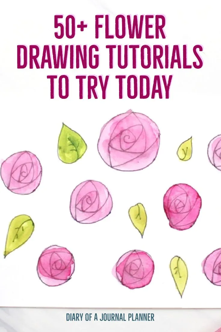 50 Best Flower Drawing Tutorials To Embellish Your Pages