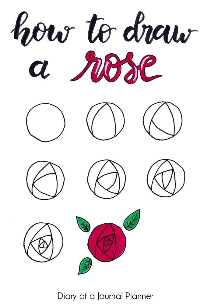 how to draw a rose easy step by step tutorial