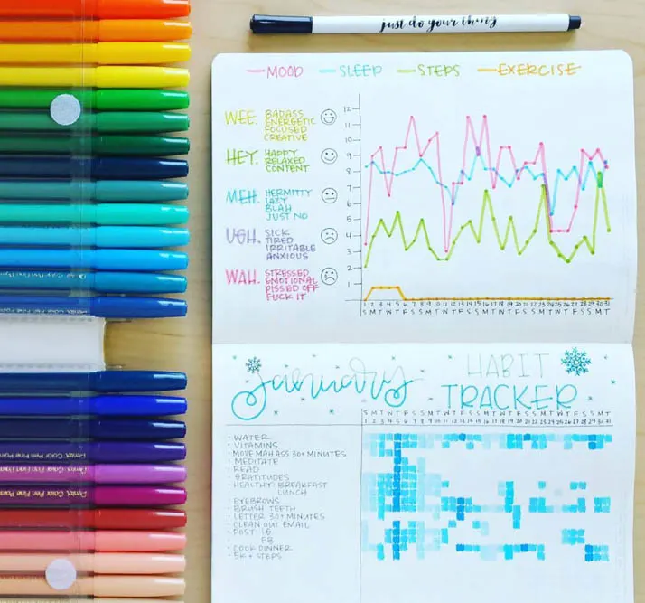 https://diaryofajournalplanner.com/wp-content/uploads/2018/12/Sleep-Tracker-For-Bullet-Journal.jpg.webp