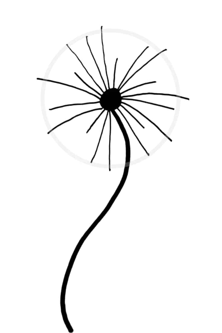 How to draw a dandelion: Easy dandelion drawing step by step tutorial