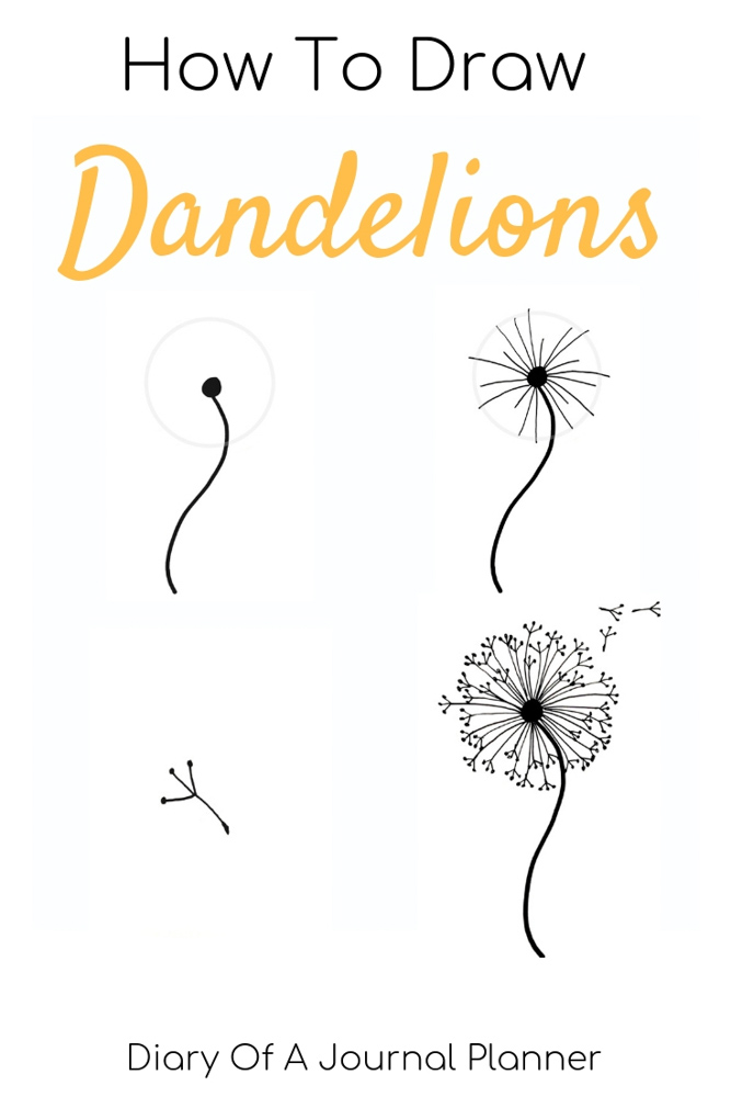 How To Draw A Dandelion Puff