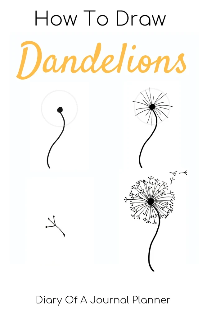 How To Draw Dandelions
