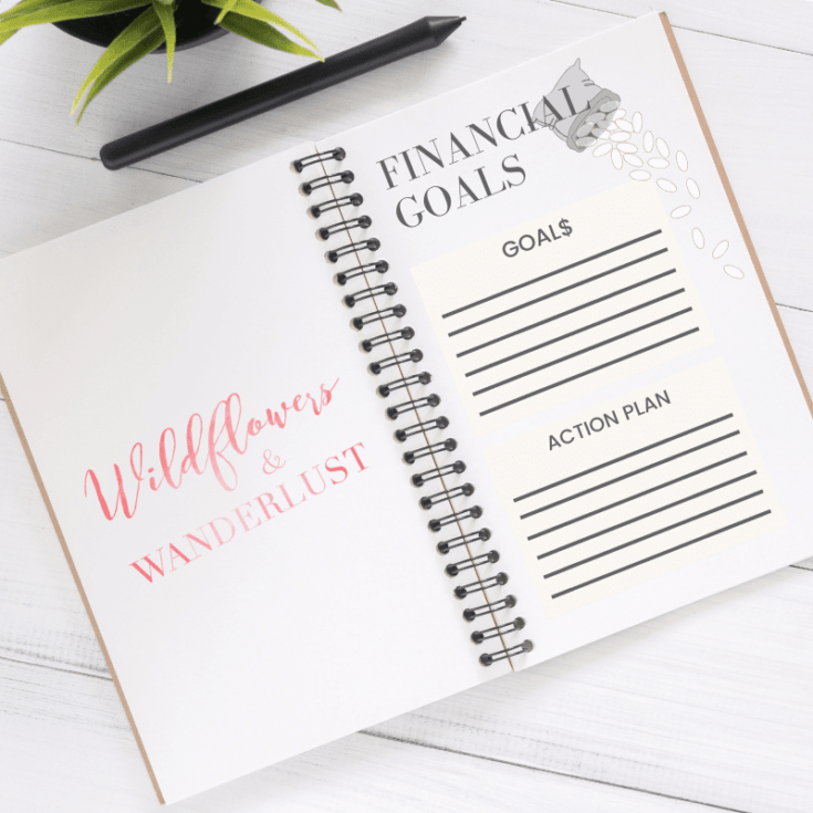 Bullet Journal Budget Trackers
