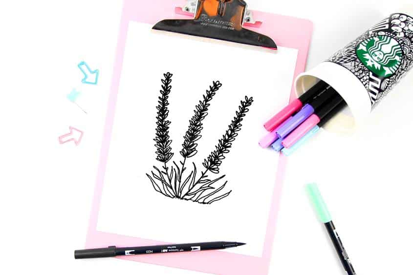 Lavender Drawing – How to draw lavender flower step by step tutorial