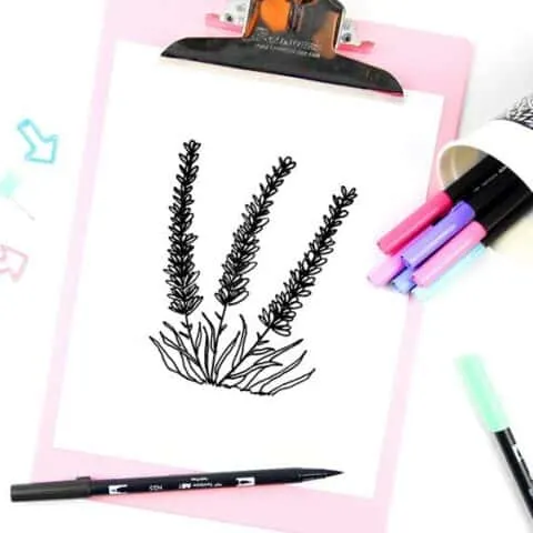 How to make lavender drawing doodles