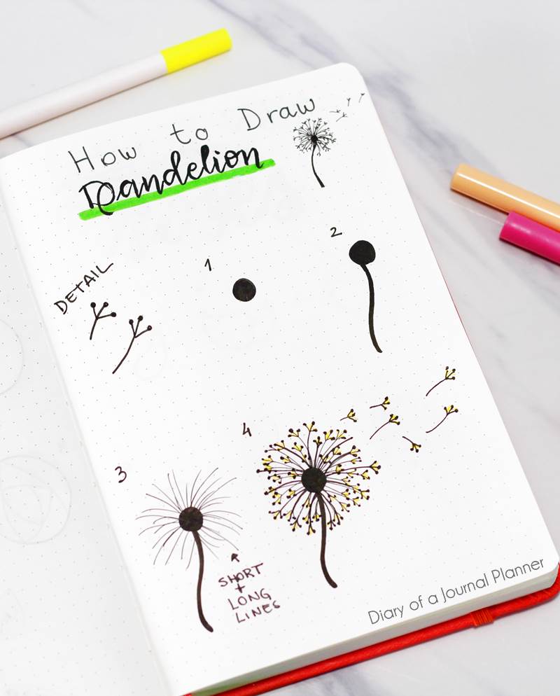 How to draw a dandelion drawing