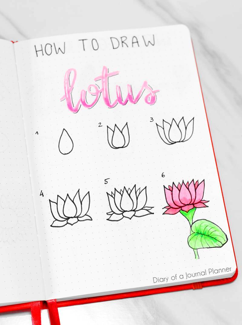 How to draw lotus flowers