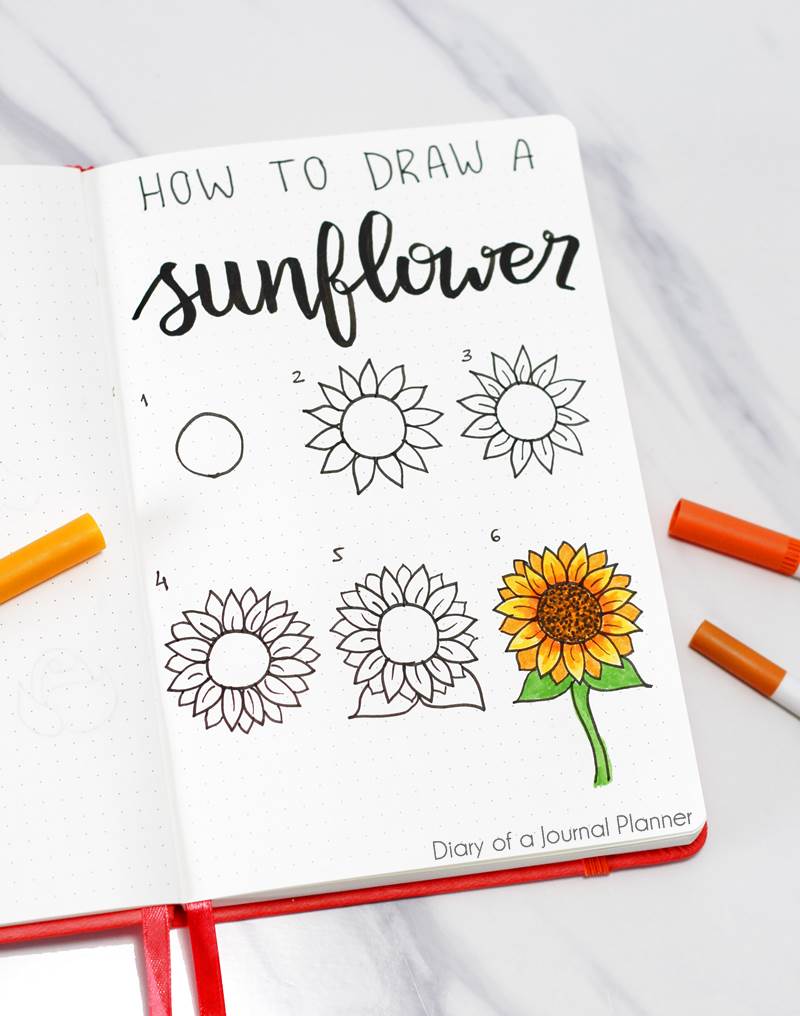 How to draw sunflowers