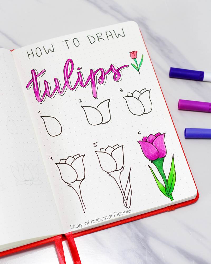 How to draw tulips