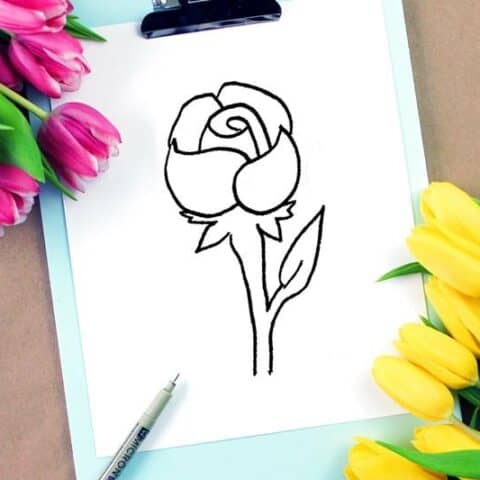 how to draw a rose