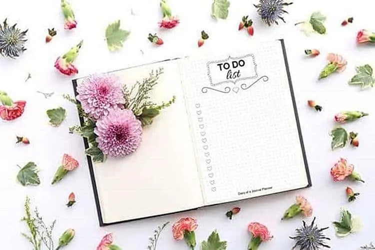 15 totally free bullet journal printable to organize your life in 2022