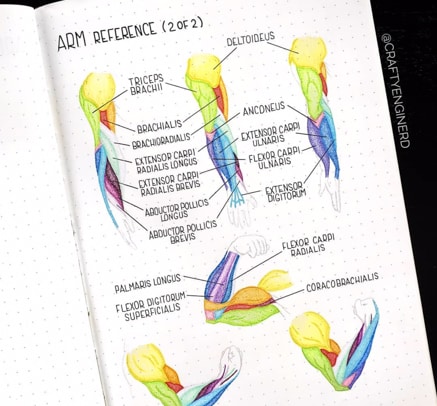 Class Notes Spread For bujo