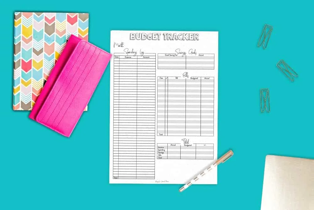 Budget Tracking and Finance Travelers Notebook Insert