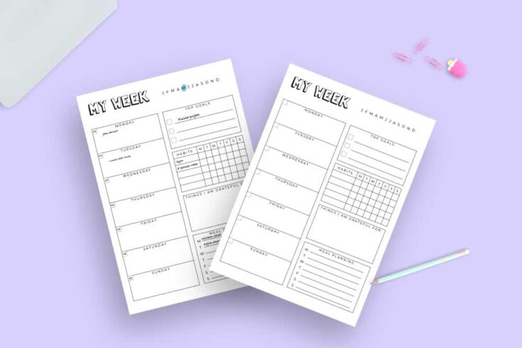 15  Totally FREE Bullet Journal Printable To Organize Your Life in 2022