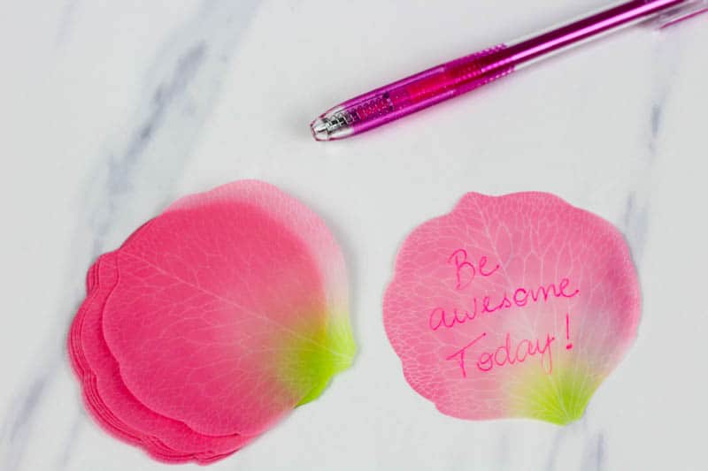 flower petal memo