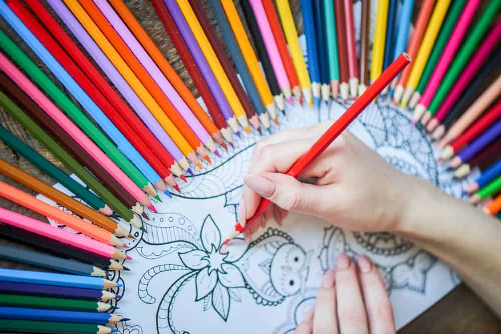 Coloring Books with Coloring Pencils Colored Pencils for Adult Coloring 50 Count Premium Artist Coloring Pencils with coloring books for adults relaxation. Colored Pencils with Adult Coloring book 