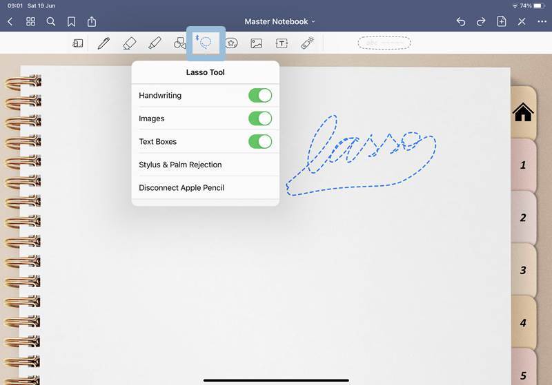 Goodnotes lasso tool