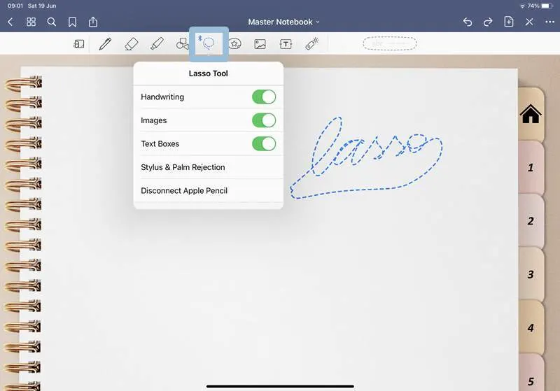 Goodnotes lasso tool