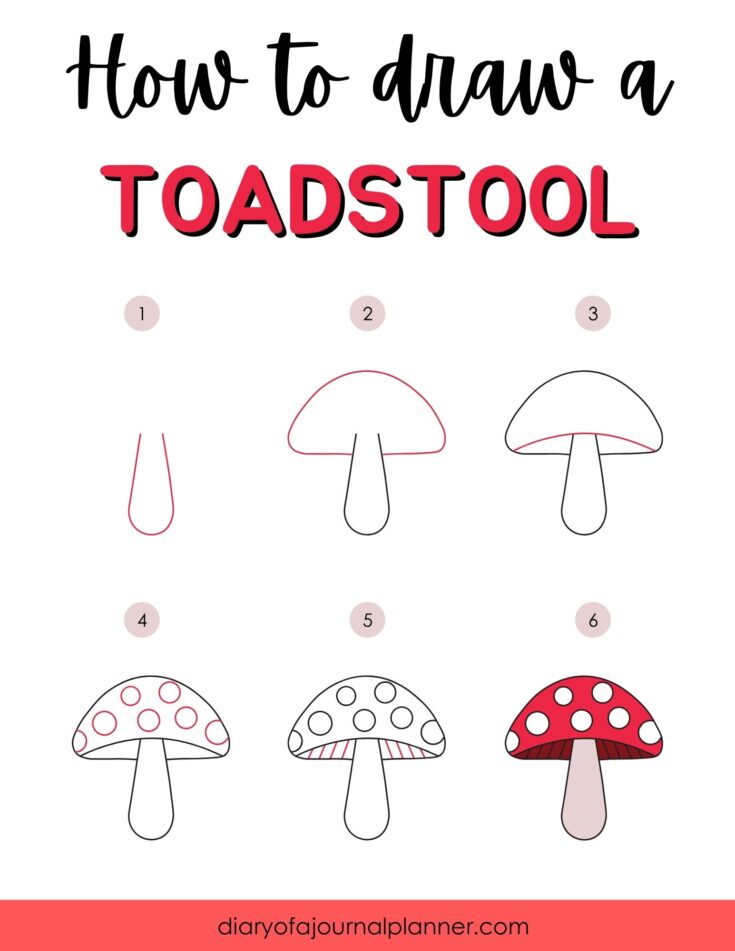 how to draw a toadstool step by step