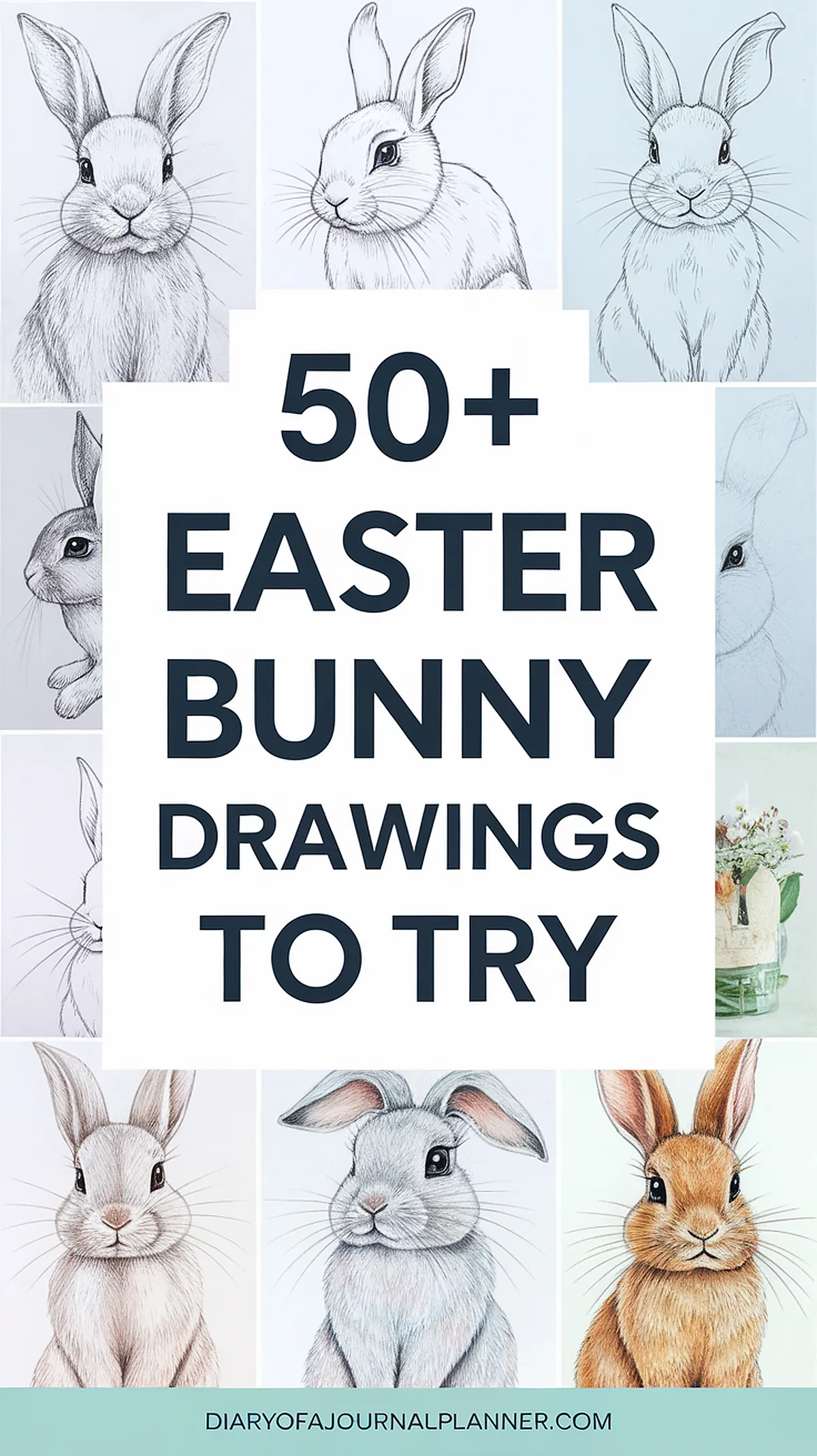 Easter Bunny drawing
