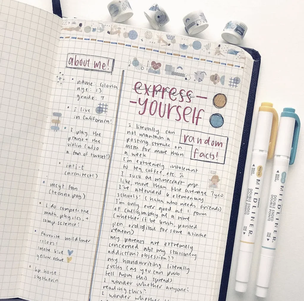 Bullet journal layout with personal facts, decorated with colorful washi tape and pens on the side.
