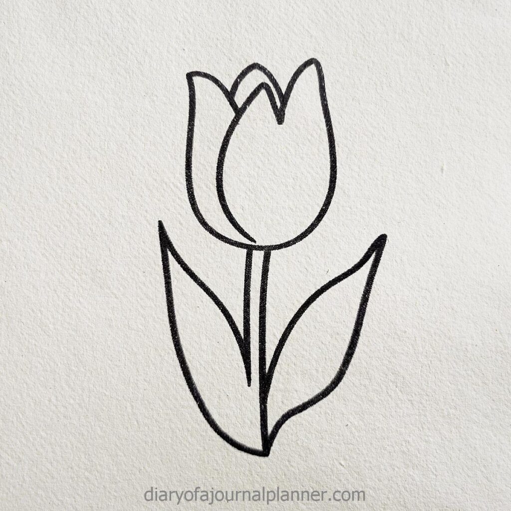 Simple tulip flower line drawing on textured paper background.