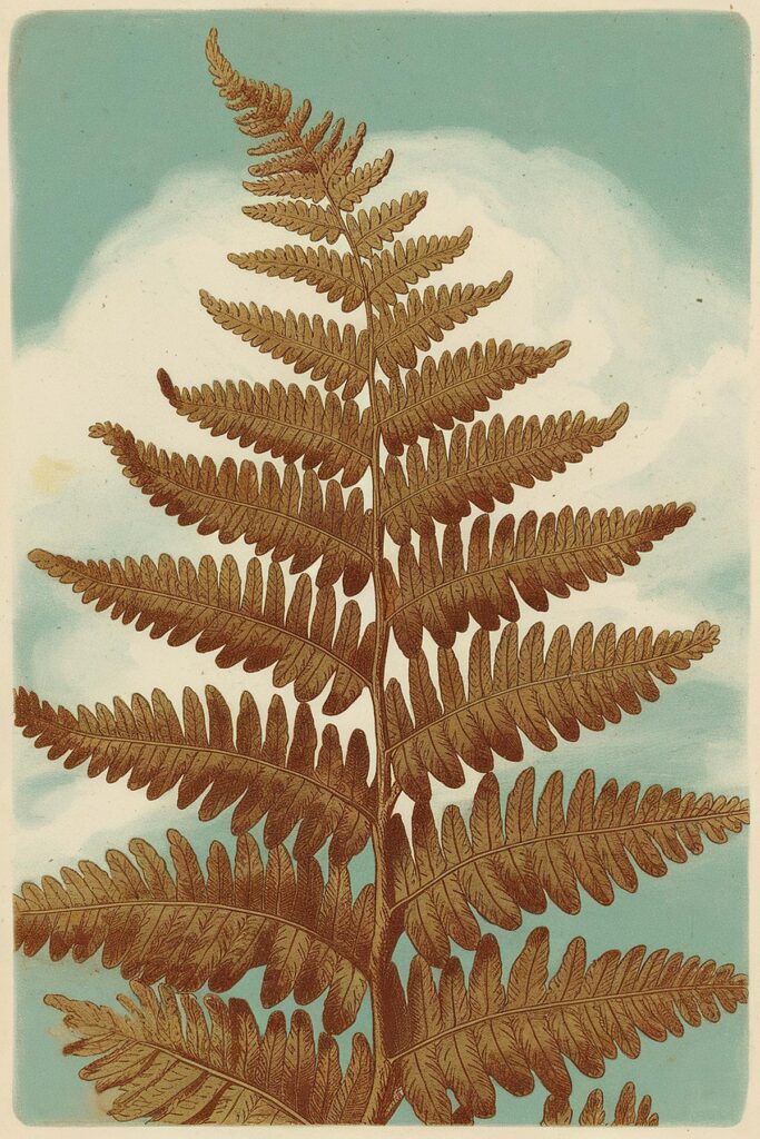Illustration of a detailed brown fern with a blue sky background, showcasing nature's intricate patterns.