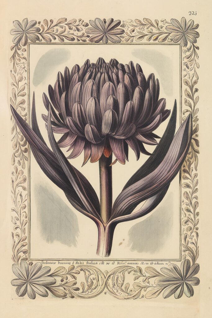 Antique botanical illustration of a purple thistle with decorative floral border.