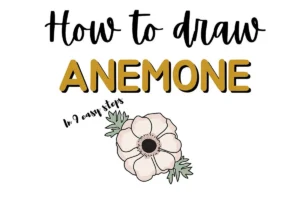 Learn to draw an anemone doodle in 9 easy steps with this illustrated guide.