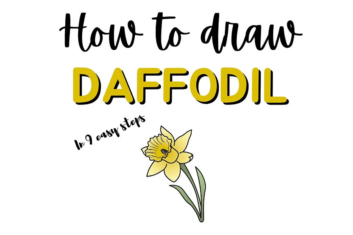 Learn how to draw a daffodil doodle in 9 easy steps with this simple floral illustration guide.