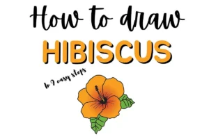 Learn to draw a hibiscus flower drawing in 9 simple steps; easy drawing guide with illustrated flower image.