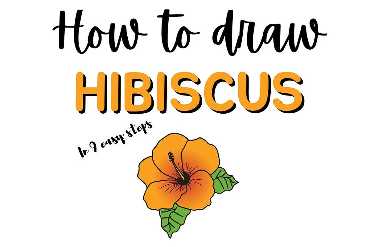 Learn to draw a hibiscus flower drawing in 9 simple steps; easy drawing guide with illustrated flower image.