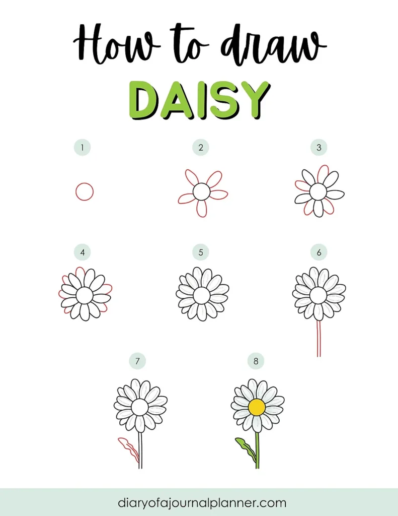 Step-by-step guide on how to draw a daisy, from circles to a complete flower with petals and stem.