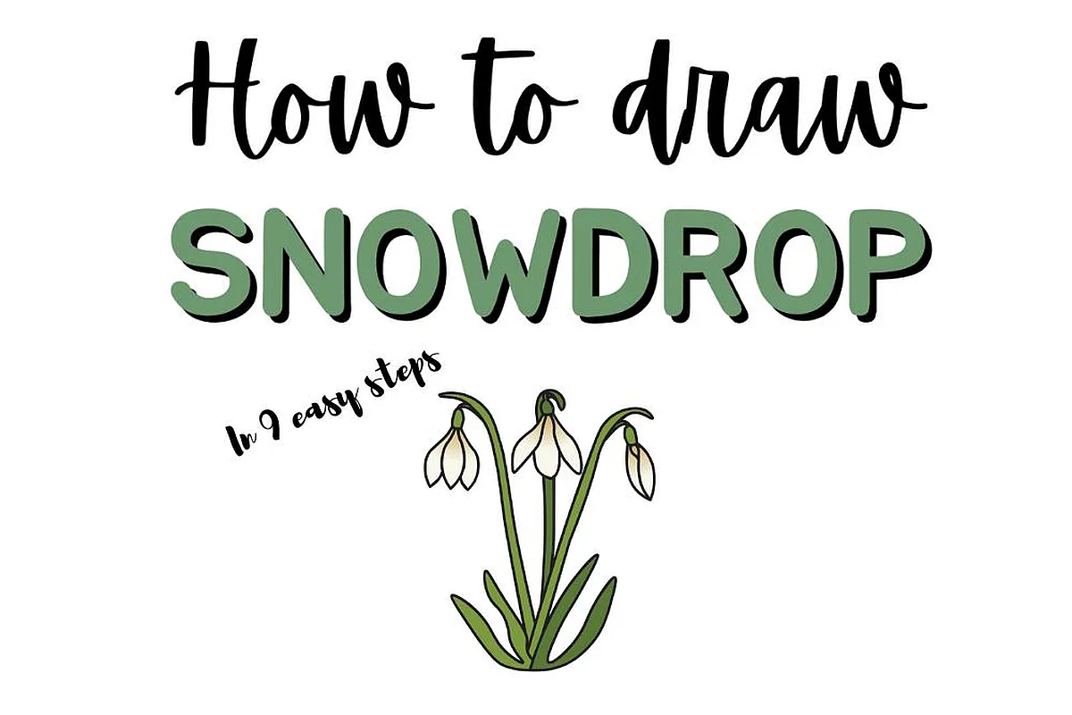 Learn to draw a snowdrop flower in 9 easy steps with this simple beginner guide.