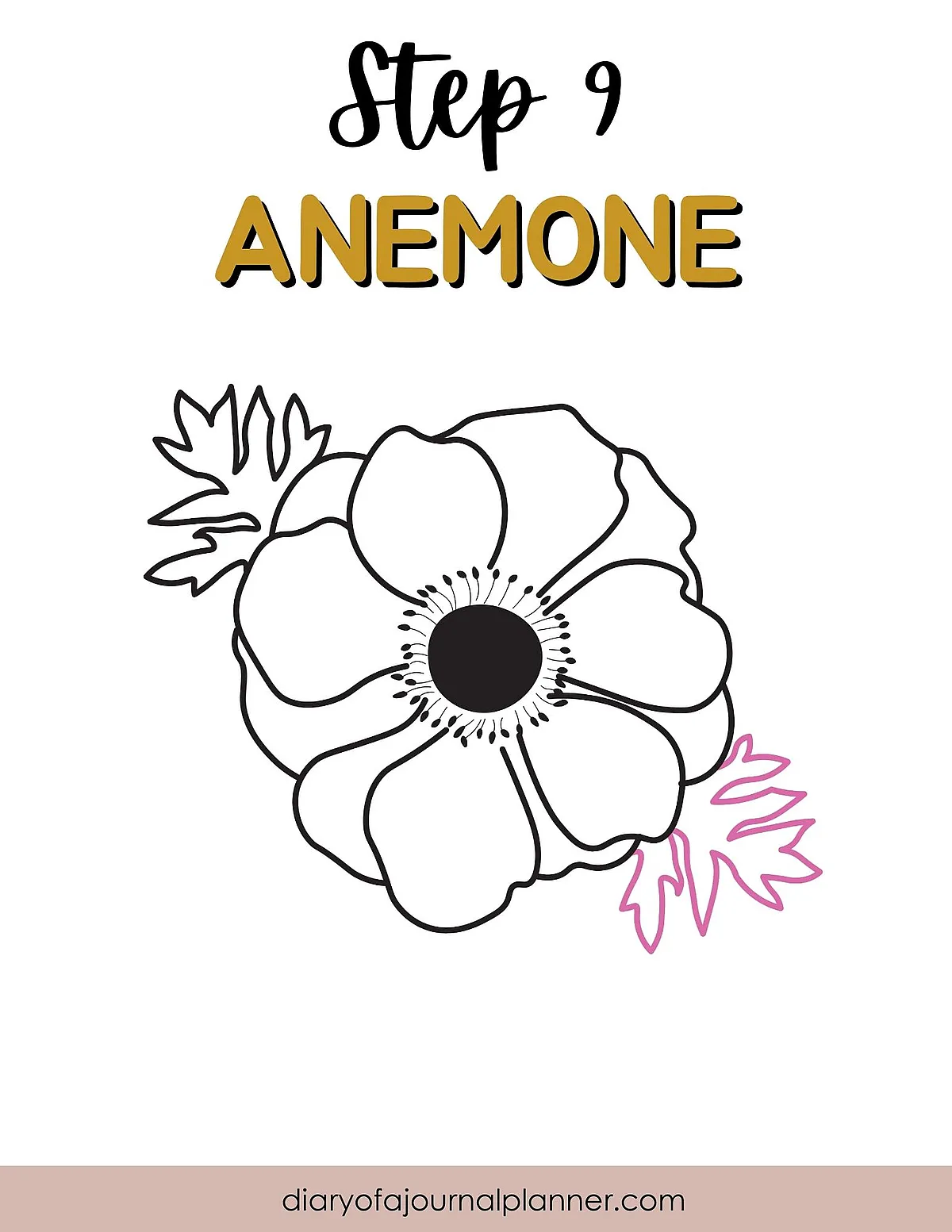 Step 9: Guide to drawing an anemone flower with outlined petals and leaves.