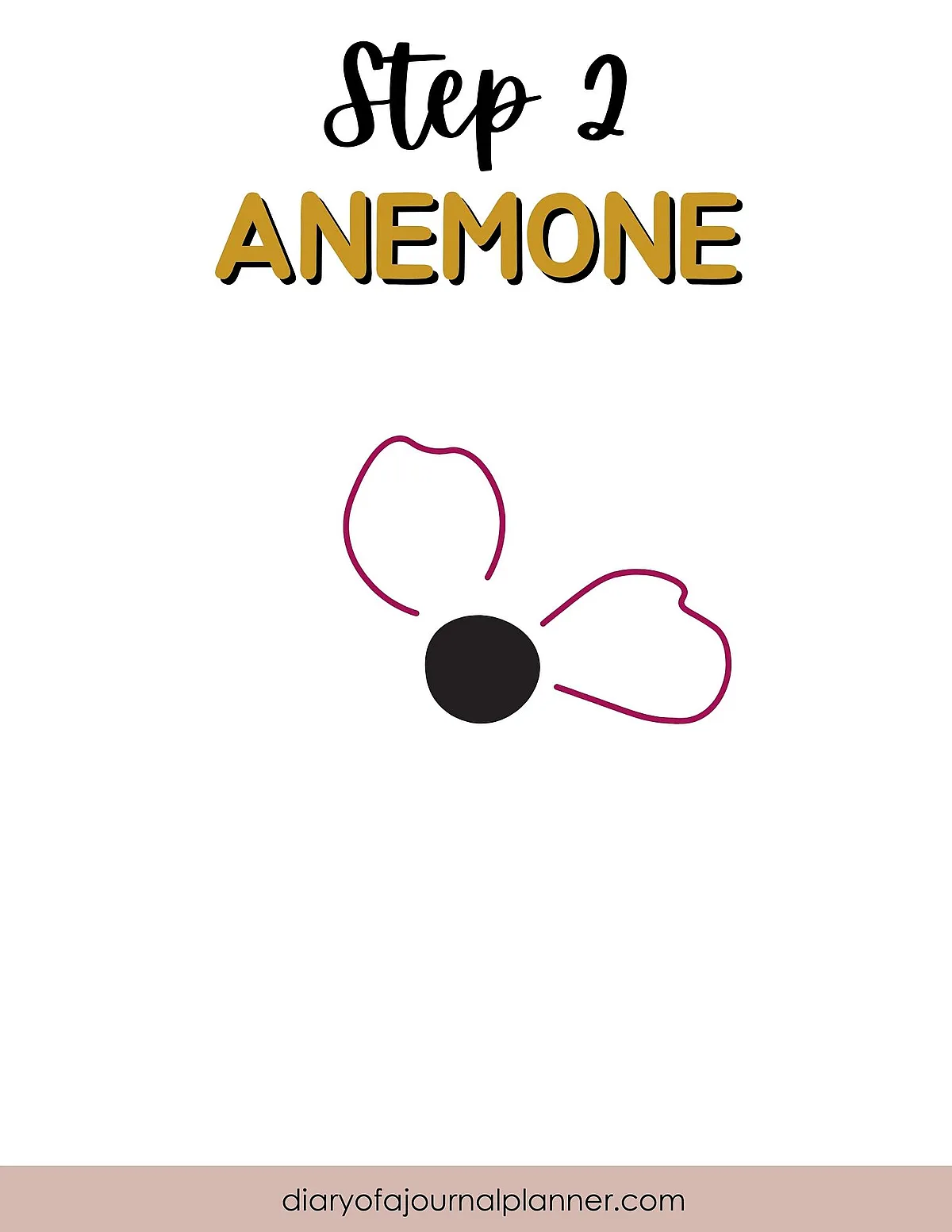 Step 2: Simple Anemone Flower Drawing Guide with Outline and Text.