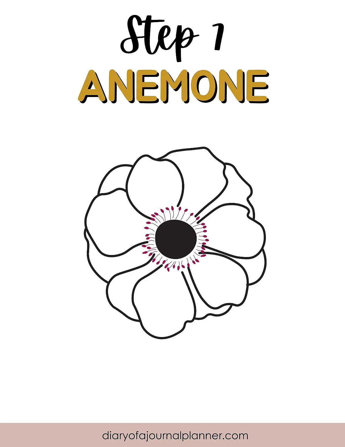 Step-by-step guide to drawing an anemone flower, simple illustration outline for beginners.