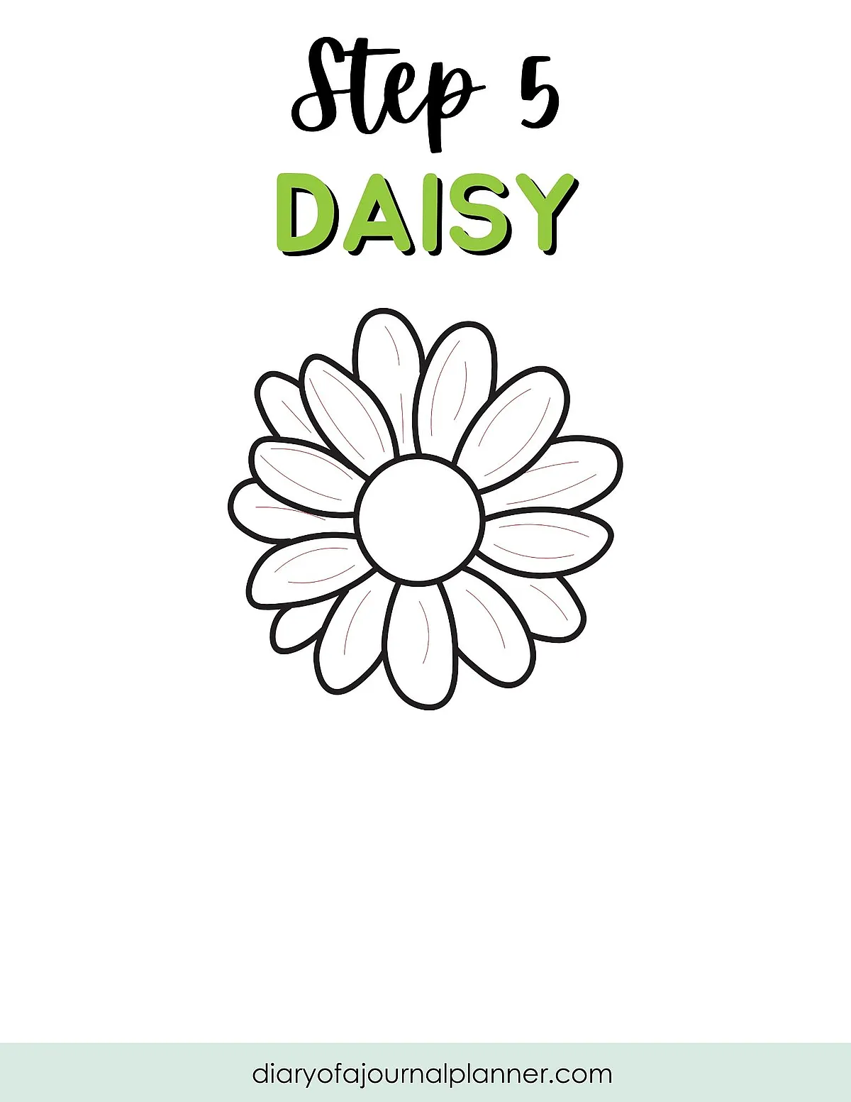 Step 5: How to draw a daisy flower outline. Simple sketch for beginners.