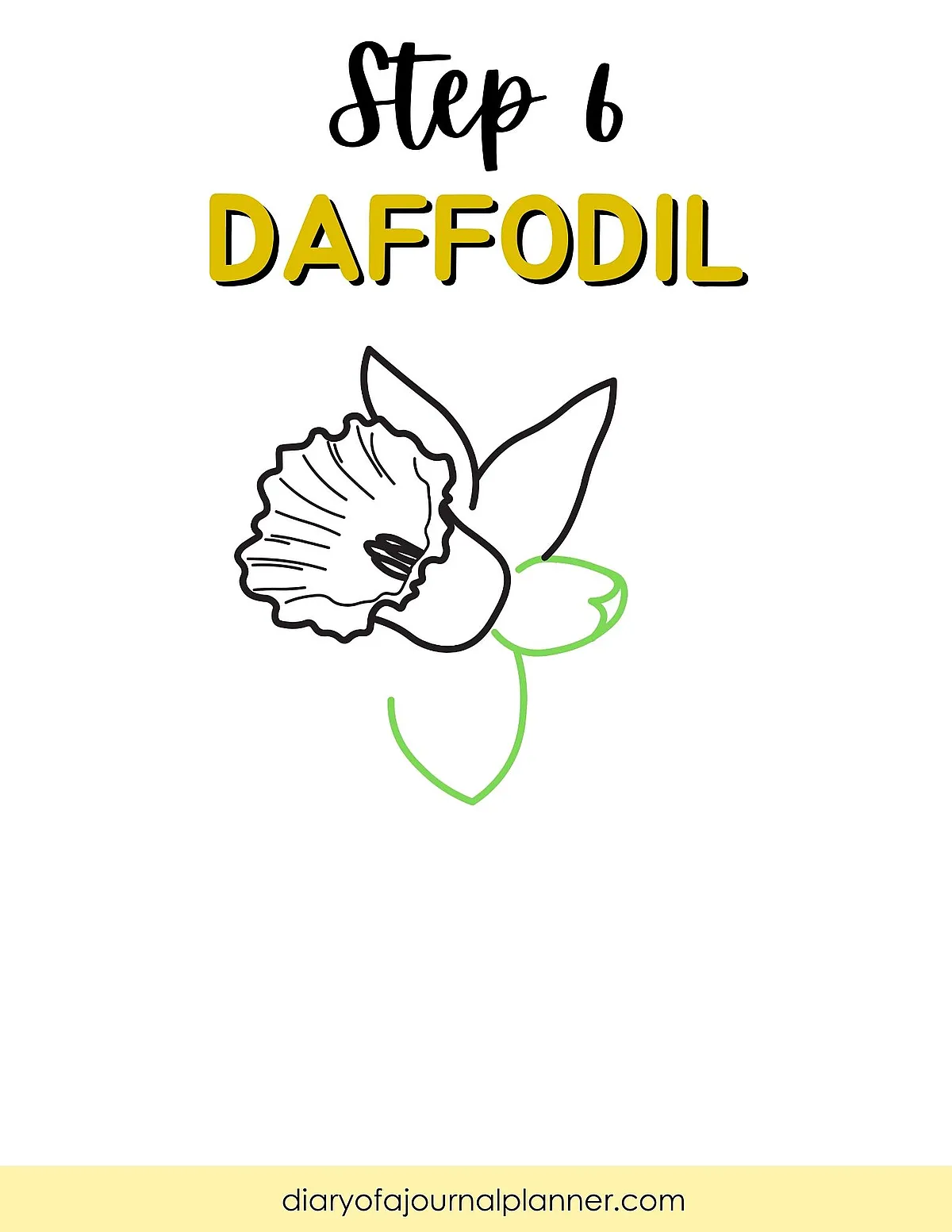 Step 6: Simple daffodil illustration guide with labeled flower drawing outline.