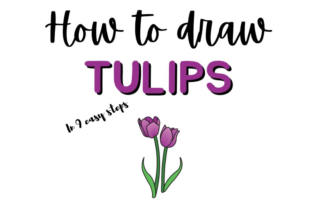 Guide on how to draw tulips in 9 easy steps, featuring illustrations of purple tulips.