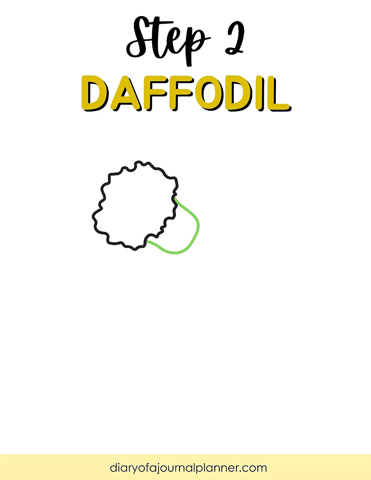 Step 2 of drawing a daffodil flower with a detailed black outline and green stem illustration.