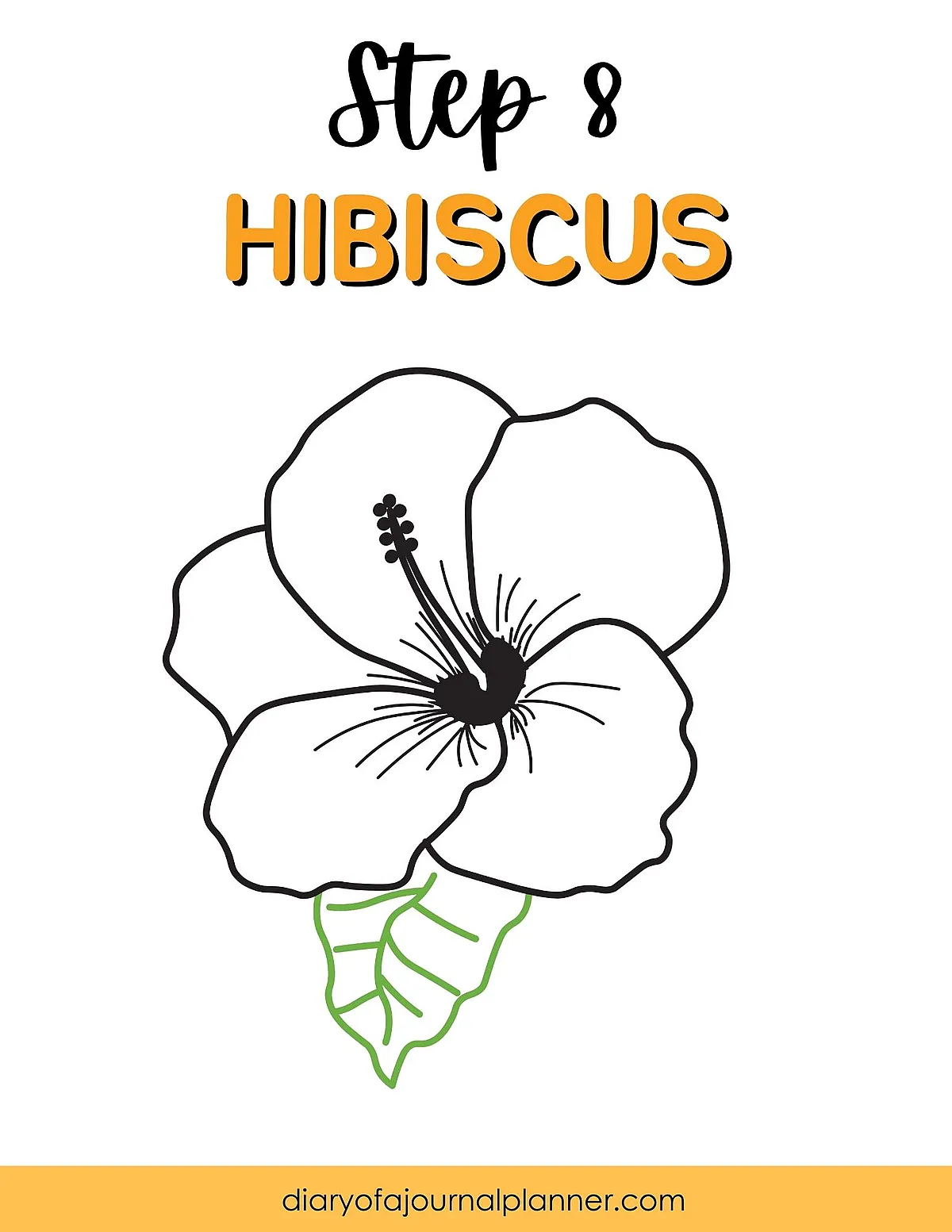 Step 8 drawing tutorial: Simple hibiscus flower illustration with leaves, perfect for beginners in art.