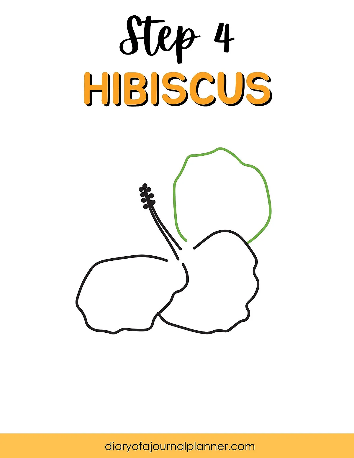 Hibiscus drawing step-by-step guide, step 4: outline and detail the flower petals and leaves.