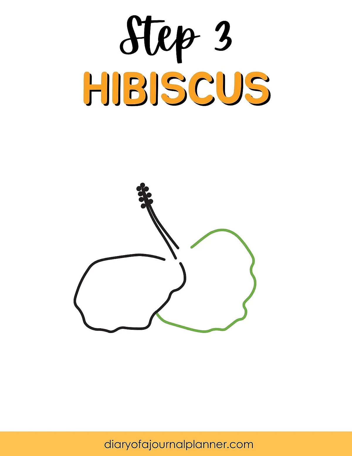 Simple outline drawing of two hibiscus petals for a step-by-step tutorial.