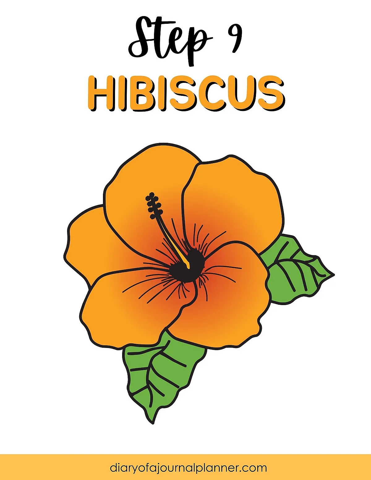 Illustration of a step-by-step guide to drawing an orange hibiscus flower with green leaves and black outlines.