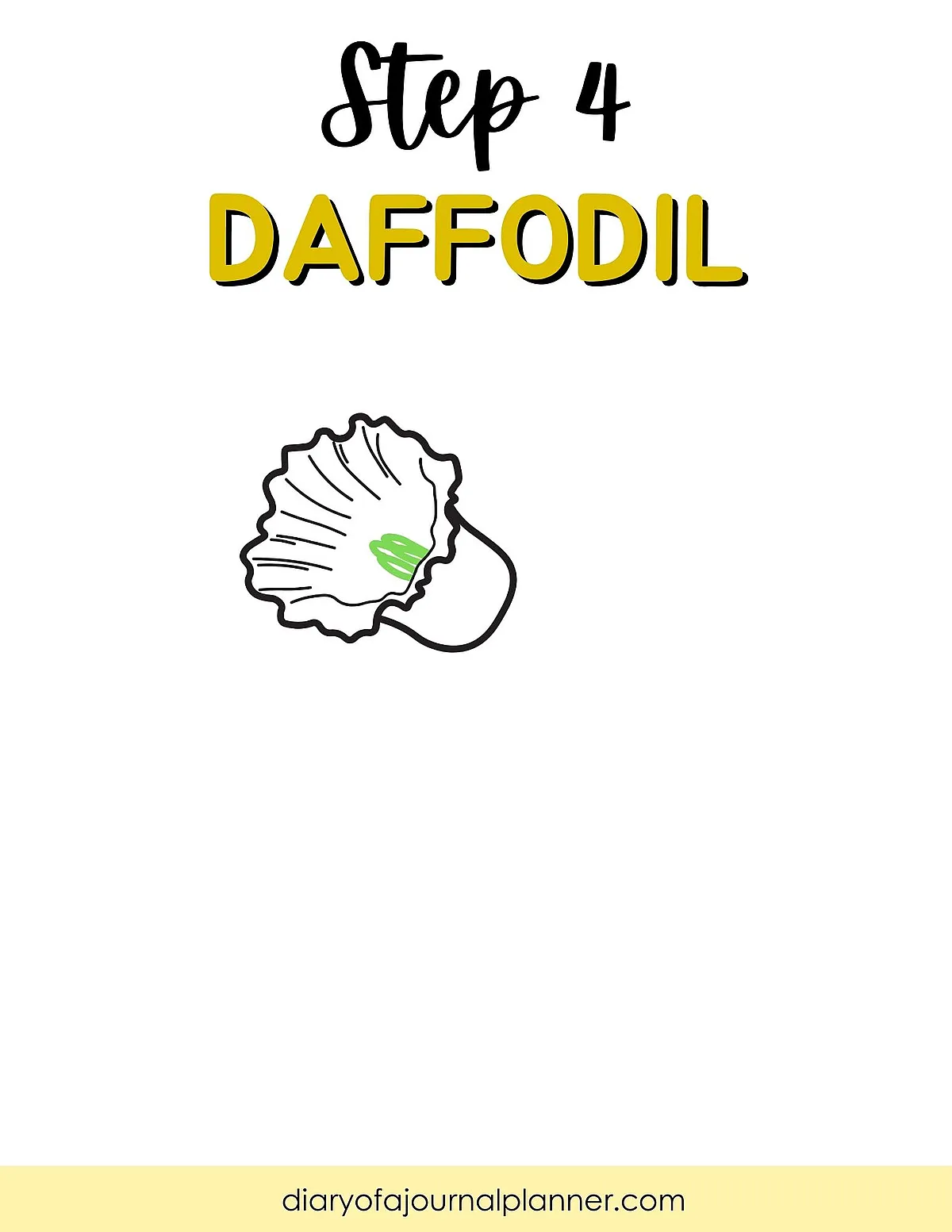Step 4 drawing instruction for a daffodil with outline illustration on a white background.