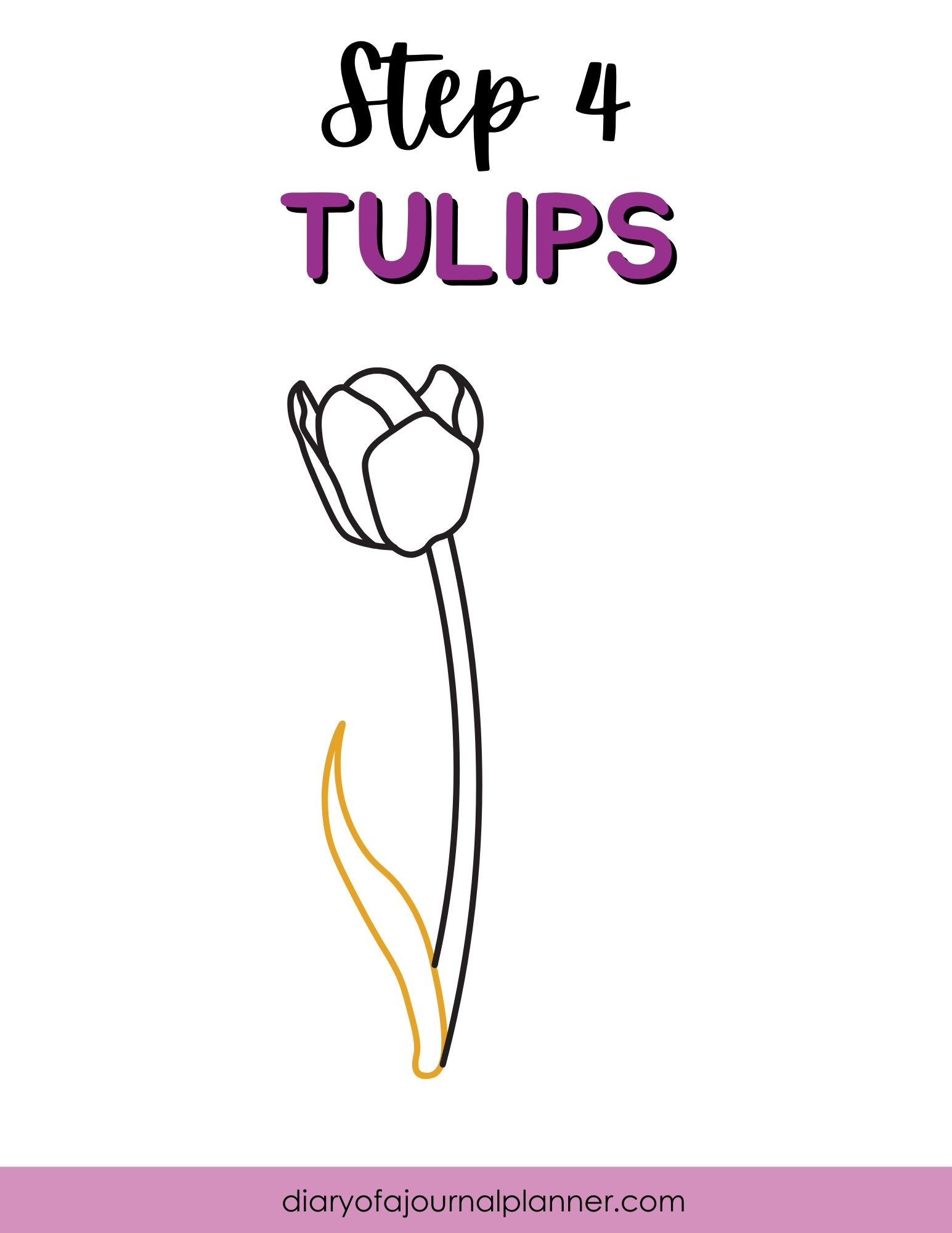 Step 4: How to Draw a Tulip - Simple Line Drawing Tutorial for Beginners.