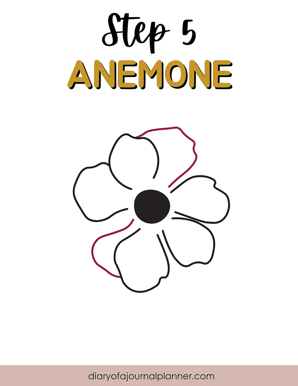 Step 5 guide to drawing an anemone flower with illustrated petal outlines and central circle.
