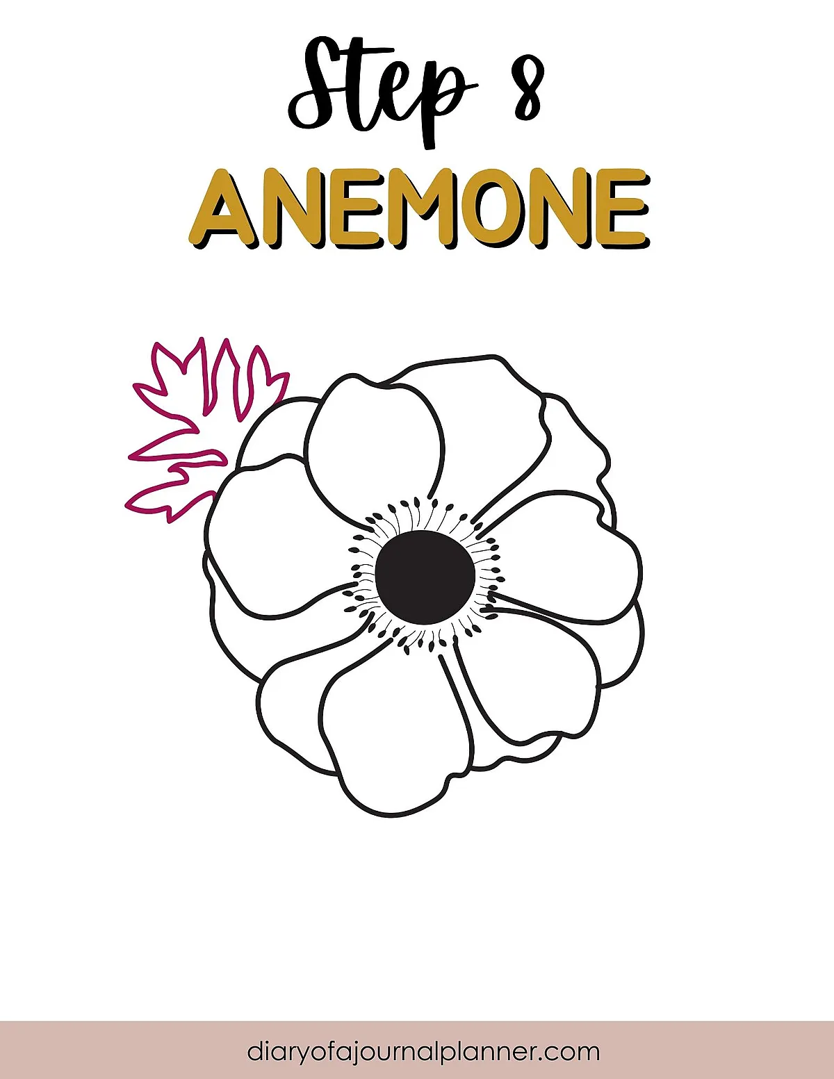 Step 8 Anemone flower drawing tutorial with outline sketch and pink leaf detail.