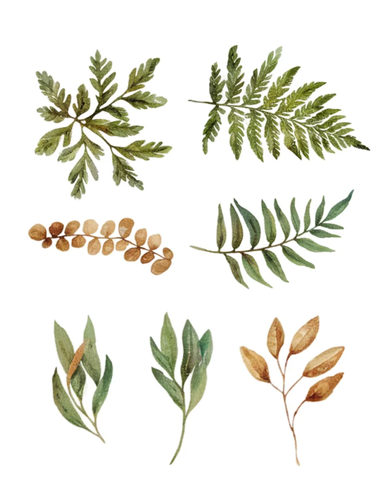 Watercolor botanical illustration of green and brown leaves on a white background, showcasing diverse leaf types.